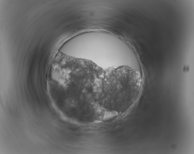 X0000113740145200910211132