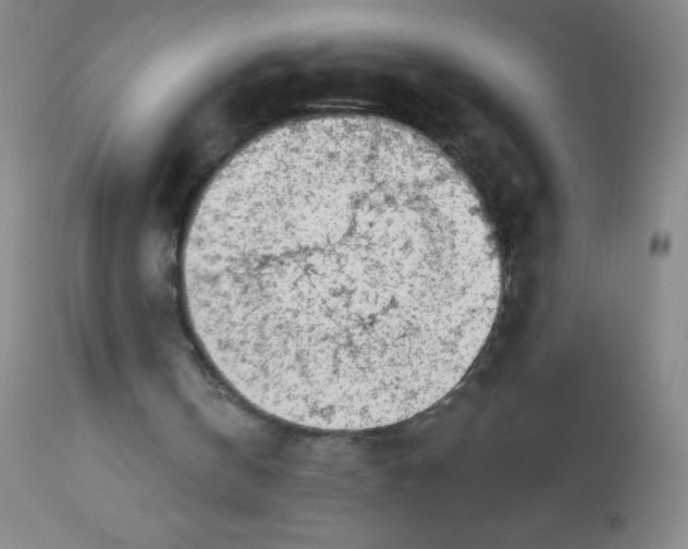 X0000113740146200910211132
