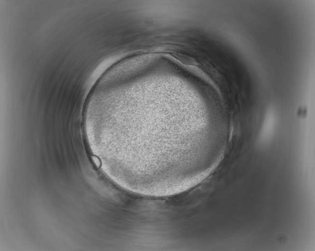 X0000113740147200910211132