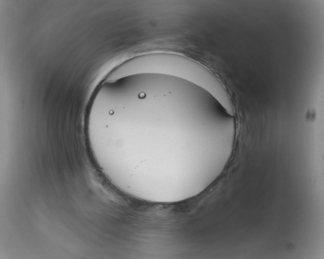 X0000113740148200910211132