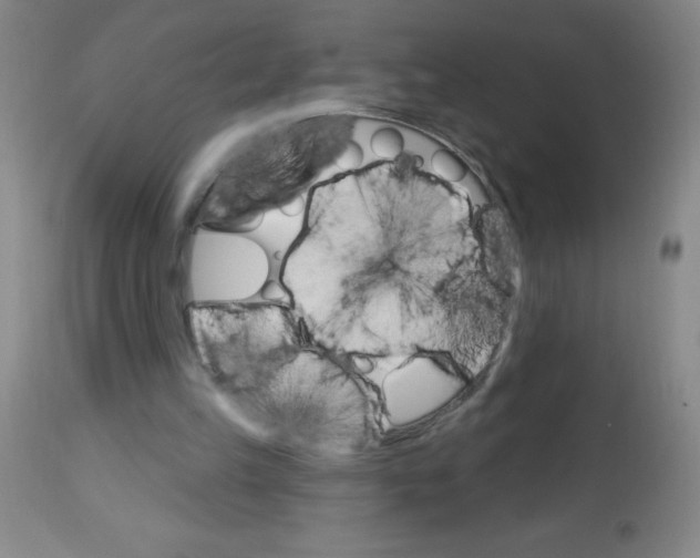 X0000113740149200910211132