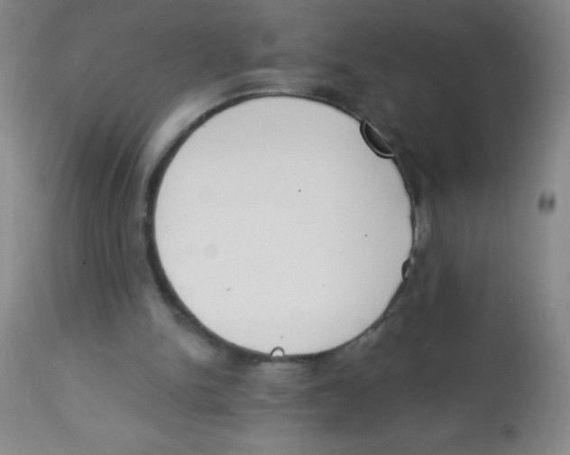 X0000113740150200910211132
