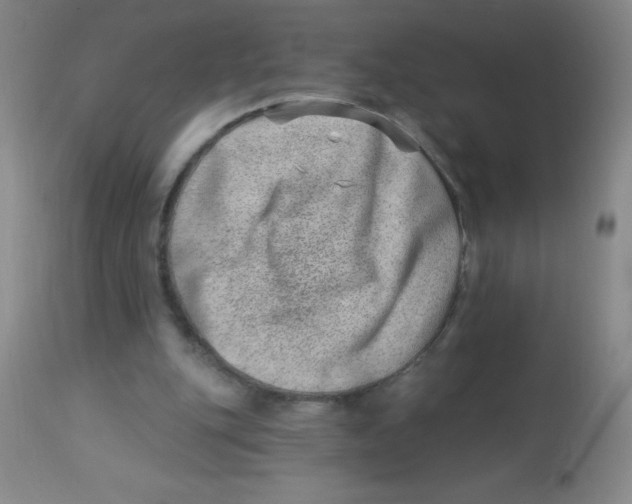 X0000113740151200910211132