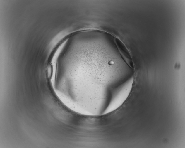 X0000113740152200910211132