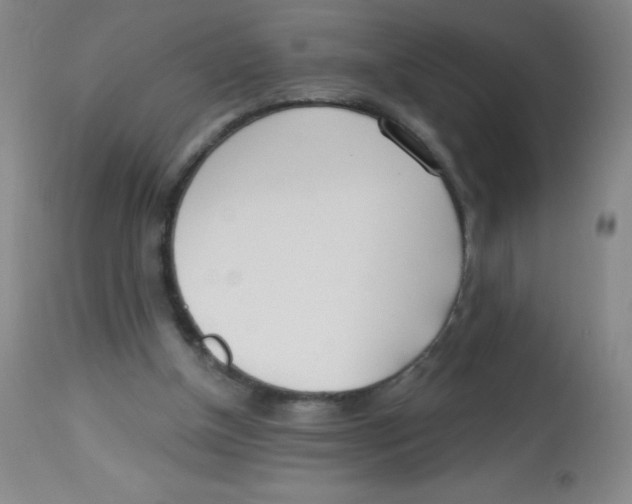X0000113740154200910211132
