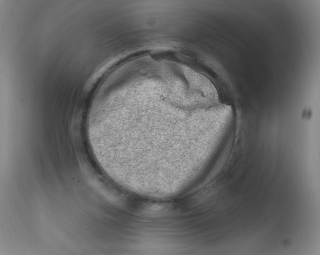 X0000113740155200910211132
