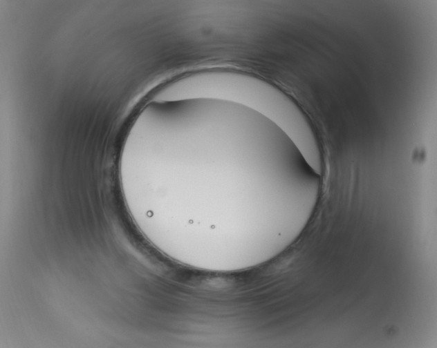 X0000113740156200910211132