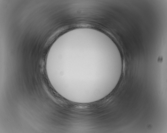 X0000113740157200910211132