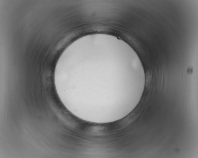 X0000113740158200910211132