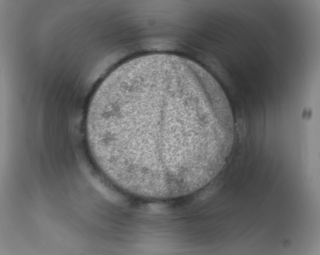 X0000113740159200910211132