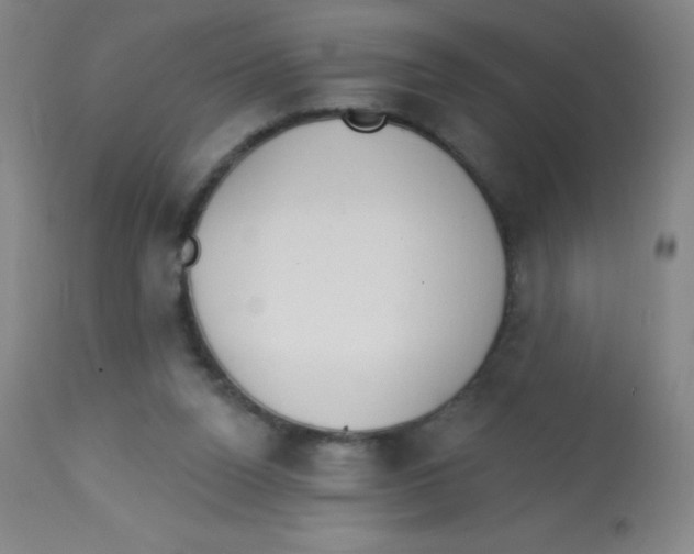 X0000113740160200910211132