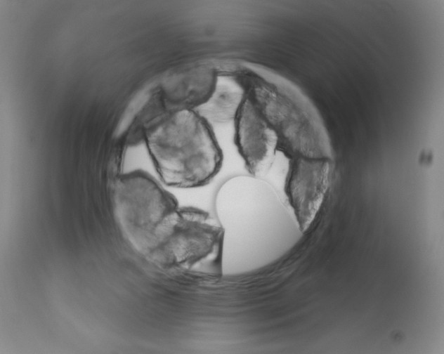 X0000113740161200910211132