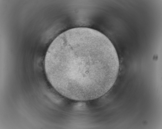 X0000113740162200910211132