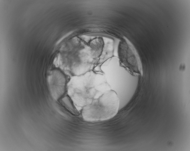 X0000113740165200910211132