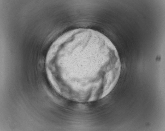 X0000113740166200910211132