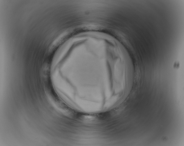 X0000113740167200910211132