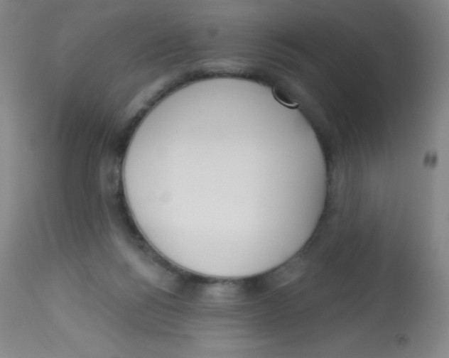 X0000113740168200910211132