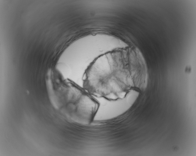 X0000113740169200910211132