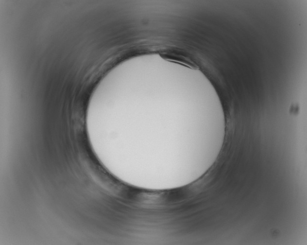 X0000113740170200910211132