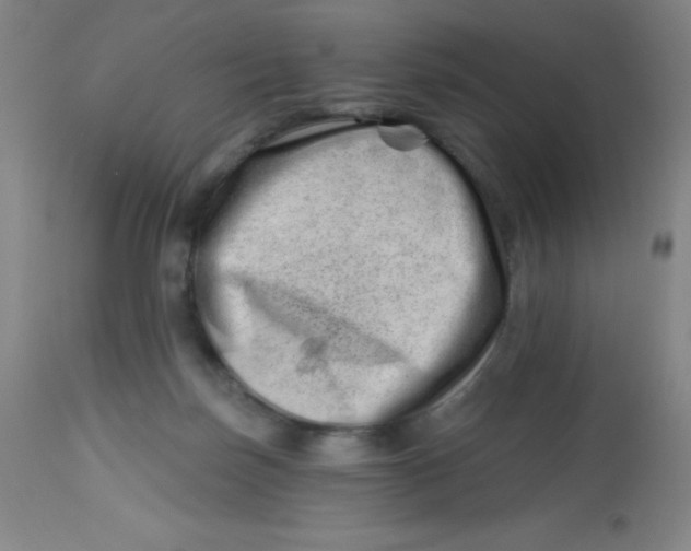 X0000113740171200910211132