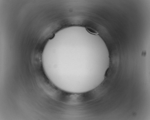 X0000113740172200910211132