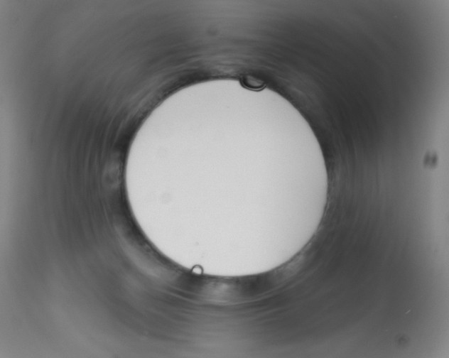 X0000113740174200910211132