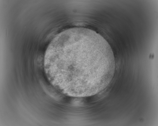 X0000113740175200910211132