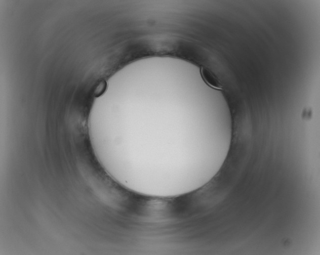 X0000113740176200910211132