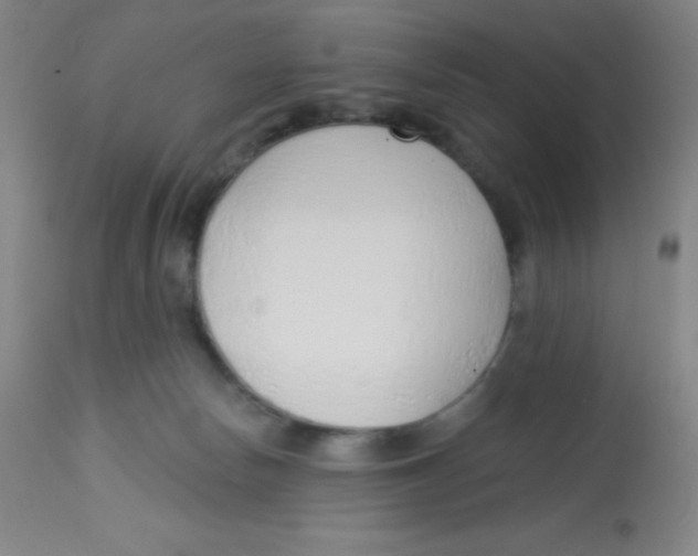 X0000113740178200910211133
