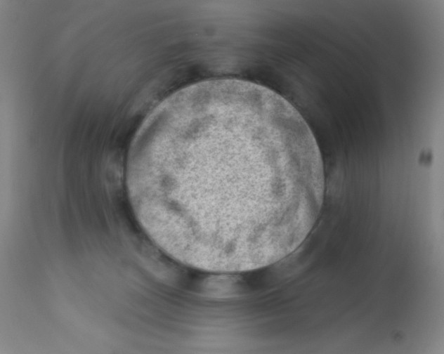 X0000113740179200910211133