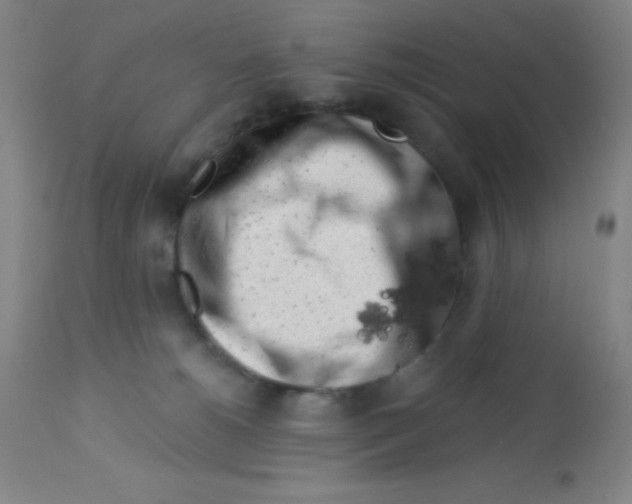 X0000113740180200910211133
