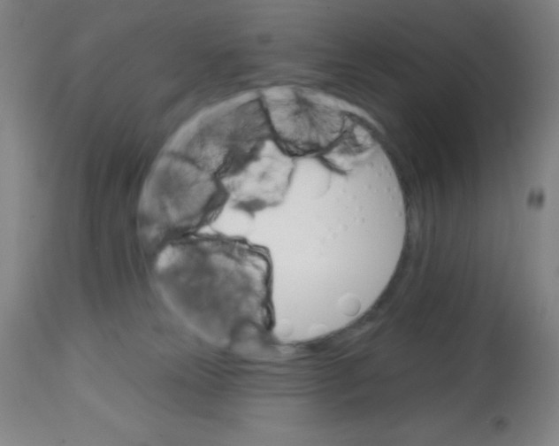 X0000113740181200910211133