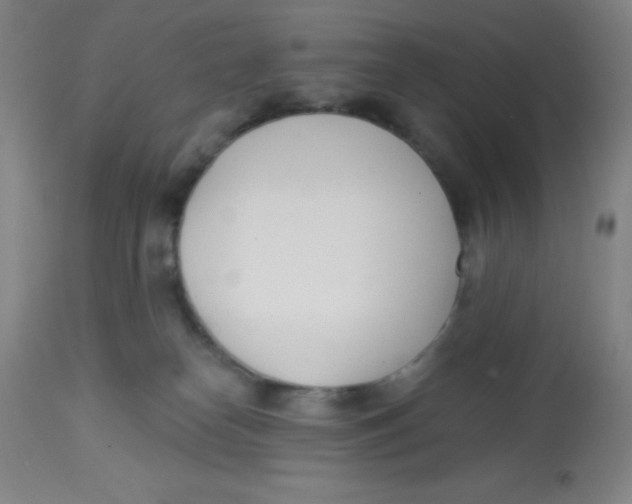 X0000113740182200910211133