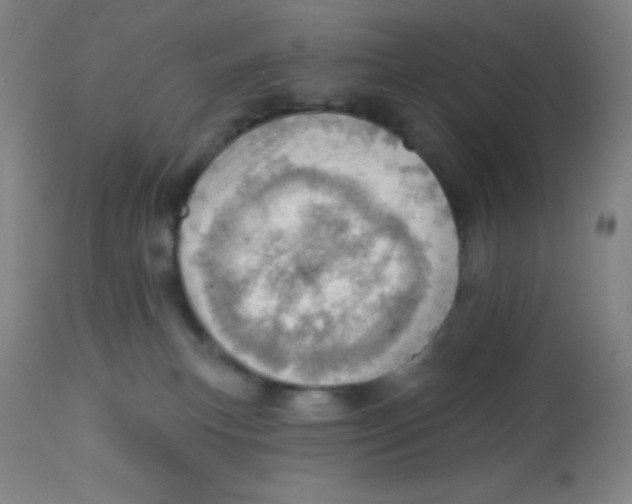 X0000113740183200910211133