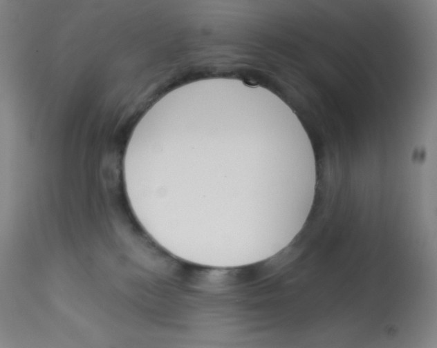 X0000113740184200910211133