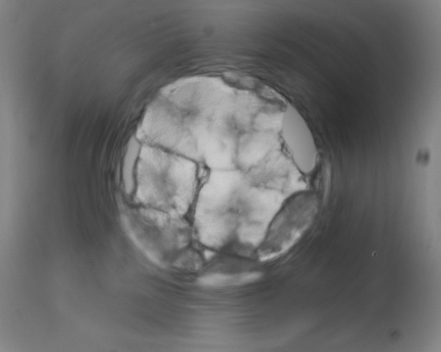 X0000113740185200910211133