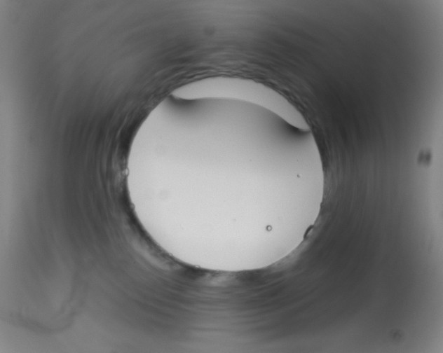 X0000113740186200910211133