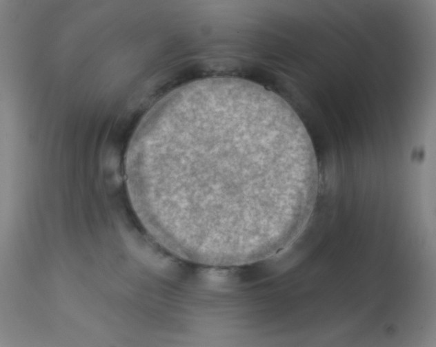 X0000113740187200910211133