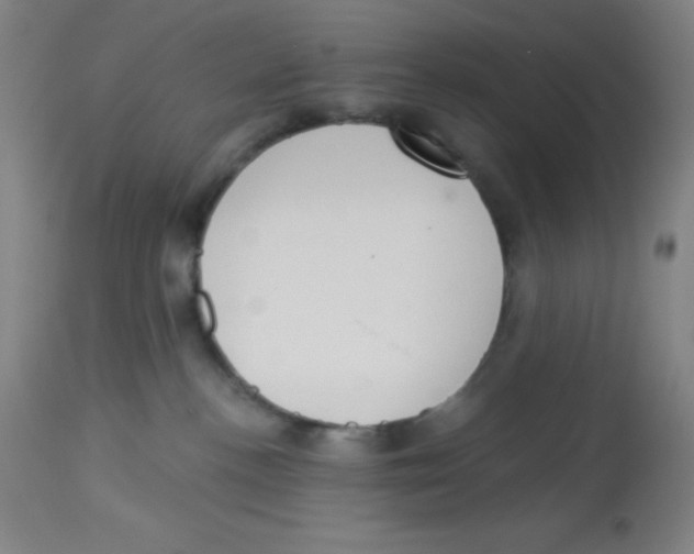 X0000113740188200910211133