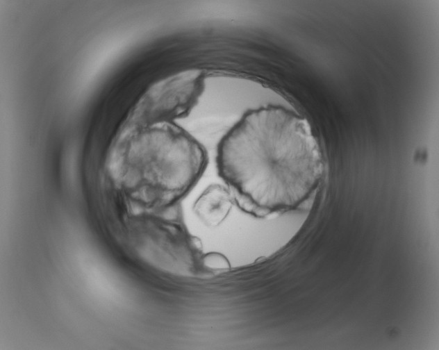 X0000113740189200910211133