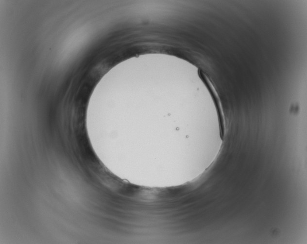 X0000113740190200910211133
