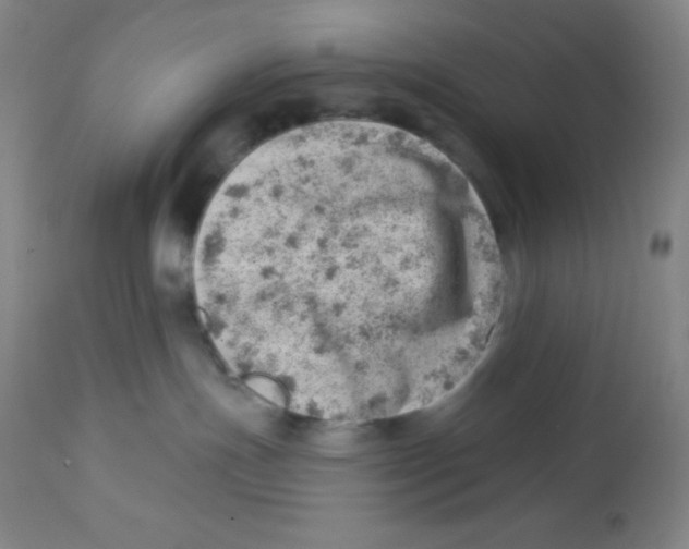 X0000113740191200910211133