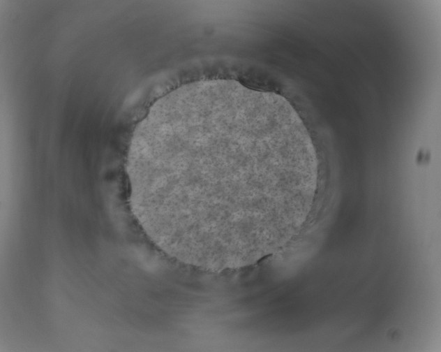X0000113740192200910211133