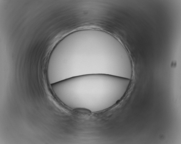 X0000113740193200910211132