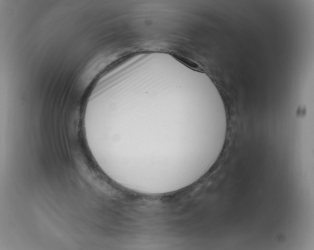 X0000113740194200910211132