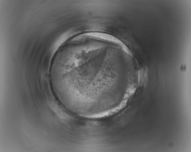 X0000113740195200910211132
