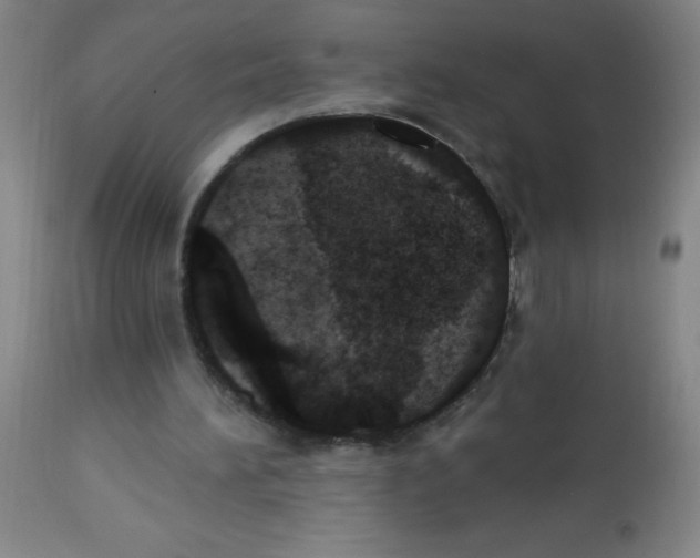 X0000113740196200910211132
