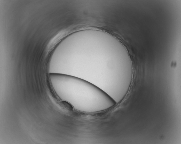 X0000113740197200910211132