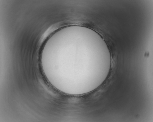 X0000113740198200910211132