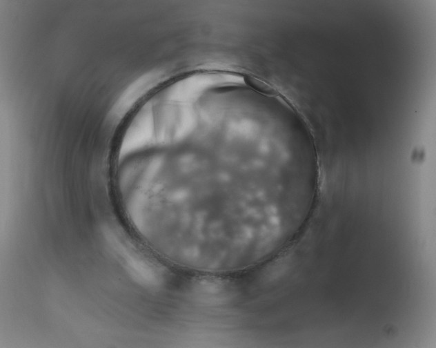 X0000113740199200910211132